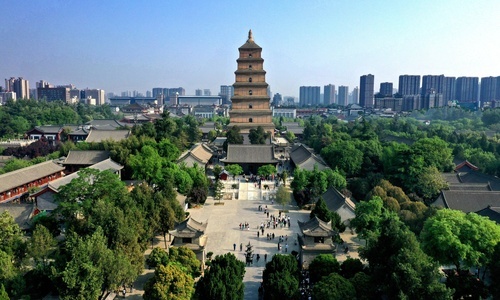 Big Wild Goose Pagoda3